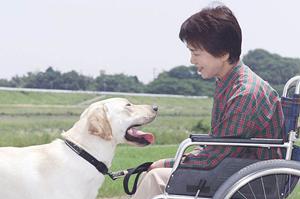 小児歯科治療に最適な清水区の病院